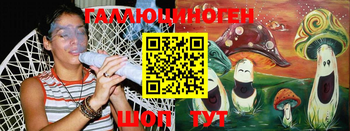 Галлюциногенные грибы Cubensis Калуга